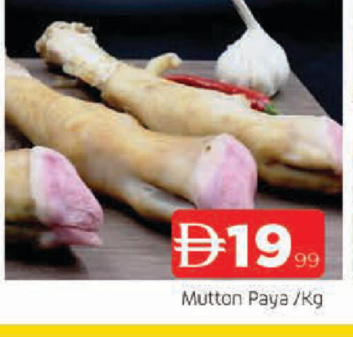 available at المدينة in الإمارات العربية المتحدة , الامارات - الشارقة / عجمان