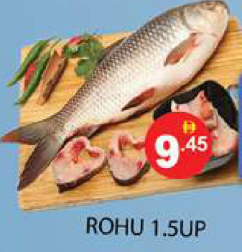 available at Zain Mart Supermarket in UAE - Ras al Khaimah