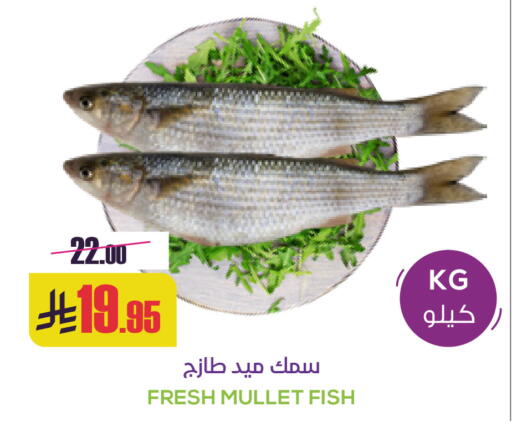 available at Sapt in KSA, Saudi Arabia, Saudi - Buraidah
