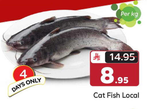 available at مكة هايبرماركت in مملكة العربية السعودية, السعودية, سعودية - الرياض