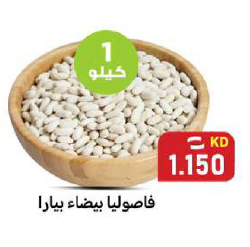 available at شركة سوق ميم المركزي  in الكويت - محافظة الأحمدي