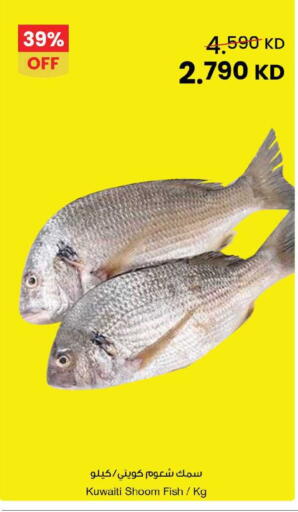 available at مركز سلطان in الكويت - محافظة الجهراء