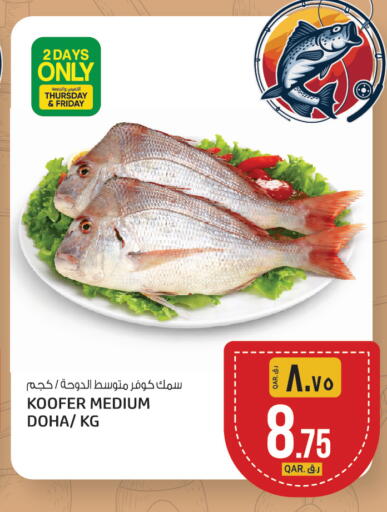 available at السعودية in قطر - الريان