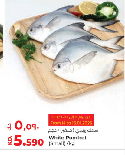 available at لولو هايبر ماركت in الكويت - محافظة الجهراء