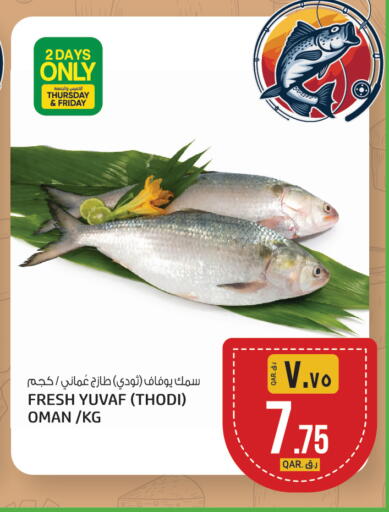 available at السعودية in قطر - الريان