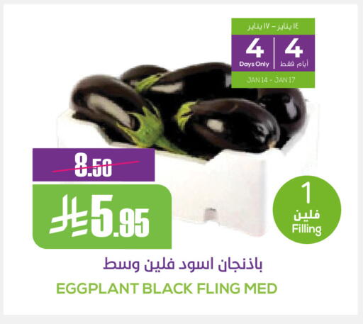 Eggplant available at سبت in مملكة العربية السعودية, السعودية, سعودية - بريدة
