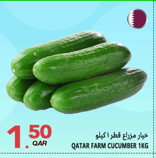 Cucumber from Qatar available at قصر الأغذية هايبرماركت in قطر - الدوحة