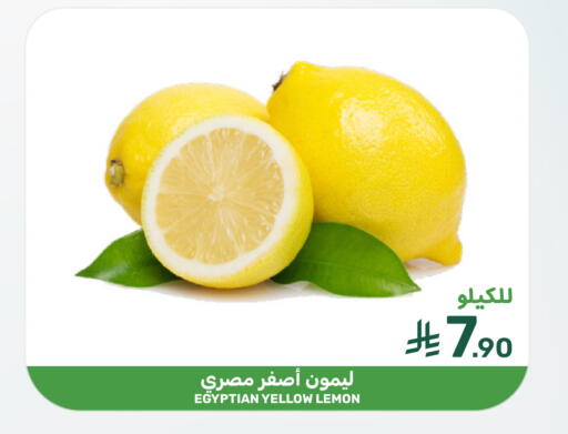 Lemon from Egypt available at  مـزايــا in مملكة العربية السعودية, السعودية, سعودية - المنطقة الشرقية