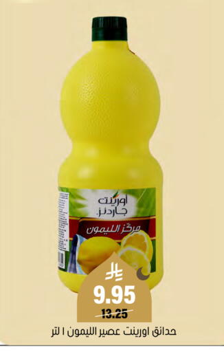 available at Al Amer Market in KSA, Saudi Arabia, Saudi - Al Hasa