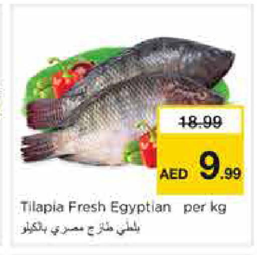 available at نستو هايبرماركت in الإمارات العربية المتحدة , الامارات - الشارقة / عجمان