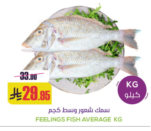 available at Sapt in KSA, Saudi Arabia, Saudi - Buraidah