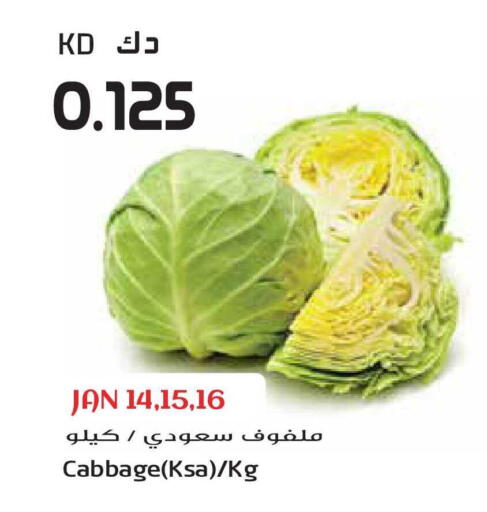 Cabbage available at جراند هايبر in الكويت - محافظة الأحمدي