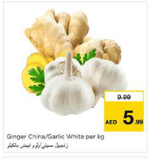 Ginger Garlic from China available at نستو هايبرماركت in الإمارات العربية المتحدة , الامارات - الشارقة / عجمان