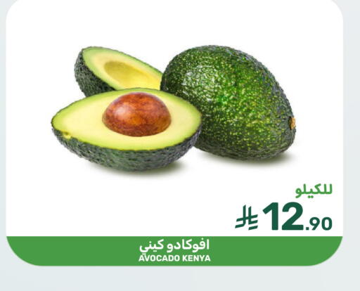 Avocado available at Mazaya in KSA, Saudi Arabia, Saudi - Saihat