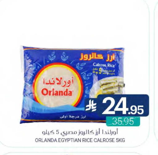 available at Muntazah Markets in KSA, Saudi Arabia, Saudi - Dammam