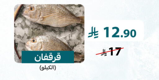 available at Mazaya in KSA, Saudi Arabia, Saudi - Saihat