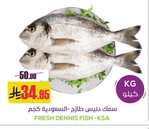 available at Sapt in KSA, Saudi Arabia, Saudi - Buraidah