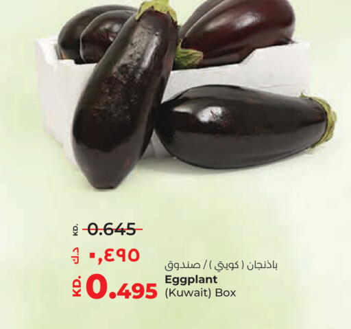 Eggplant from Kuwait available at Lulu Hypermarket  in Kuwait - Ahmadi Governorate
