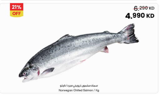 available at مركز سلطان in الكويت - محافظة الجهراء