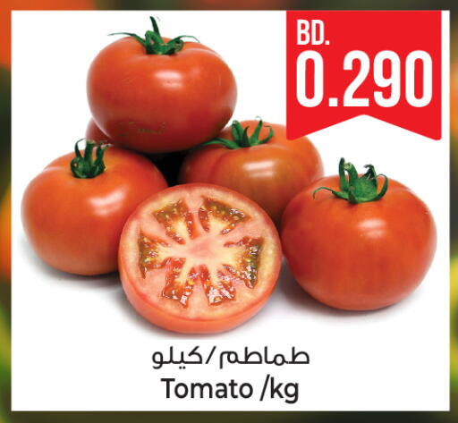 Tomato from Bahrain available at بحرين برايد in البحرين