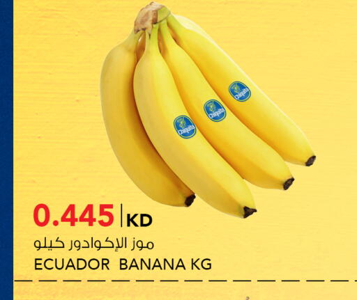 Banana from Ecuador available at  ALNASSER HYPERMARKET in Kuwait - Ahmadi Governorate
