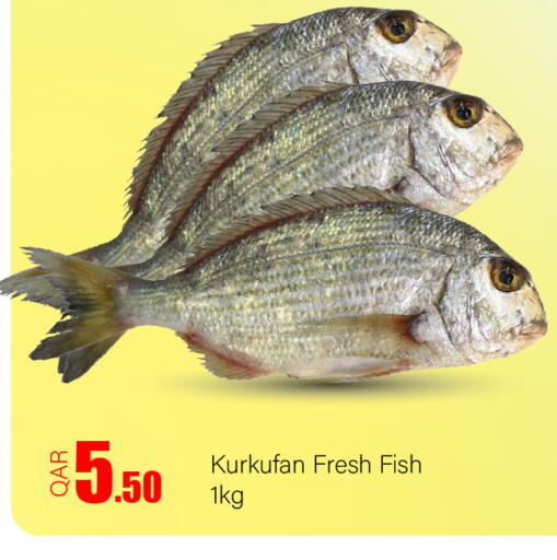 available at G MAX Hypermarket in Qatar - Doha