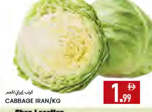 Cabbage from Iran available at  روابي ماركت عجمان in الإمارات العربية المتحدة , الامارات - الشارقة / عجمان