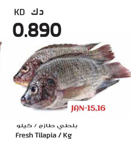 available at جراند هايبر in الكويت - محافظة الأحمدي