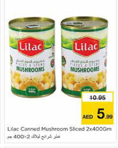 Mushroom available at نستو هايبرماركت in الإمارات العربية المتحدة , الامارات - الشارقة / عجمان