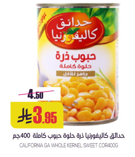 available at Sapt in KSA, Saudi Arabia, Saudi - Buraidah