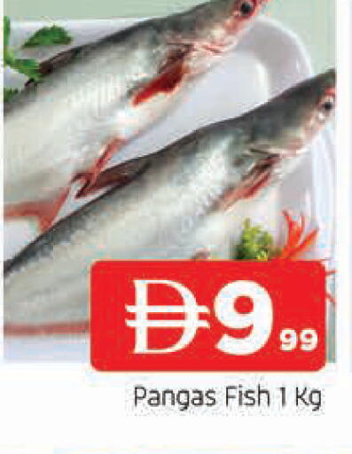 available at AL MADINA in UAE - Sharjah / Ajman