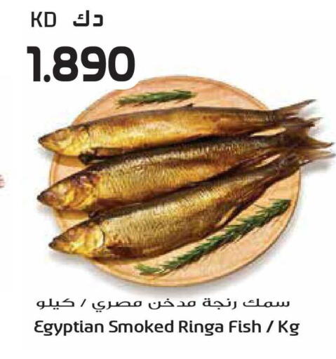 available at جراند هايبر in الكويت - محافظة الجهراء