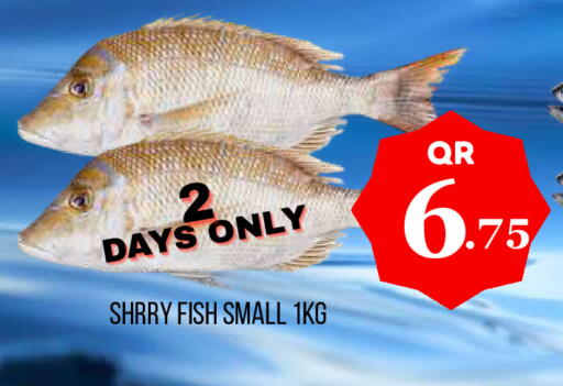 available at دبي شوبينغ سنتر in قطر - الدوحة