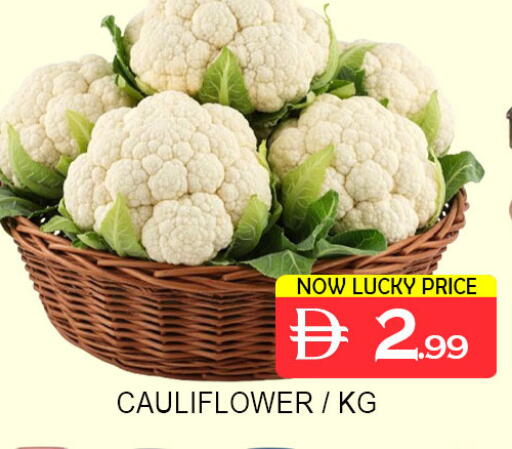 Cauliflower available at لكي سنتر in الإمارات العربية المتحدة , الامارات - الشارقة / عجمان