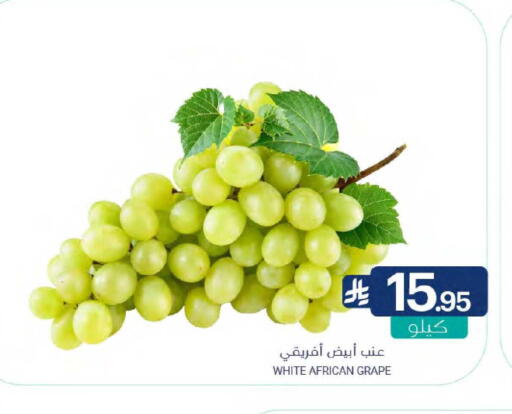 available at Muntazah Markets in KSA, Saudi Arabia, Saudi - Qatif