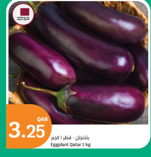 Eggplant from Qatar available at City Hypermarket in Qatar - Al Wakra