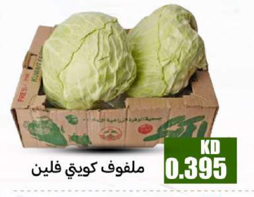 from Kuwait available at شركة سوق ميم المركزي  in الكويت - محافظة الأحمدي