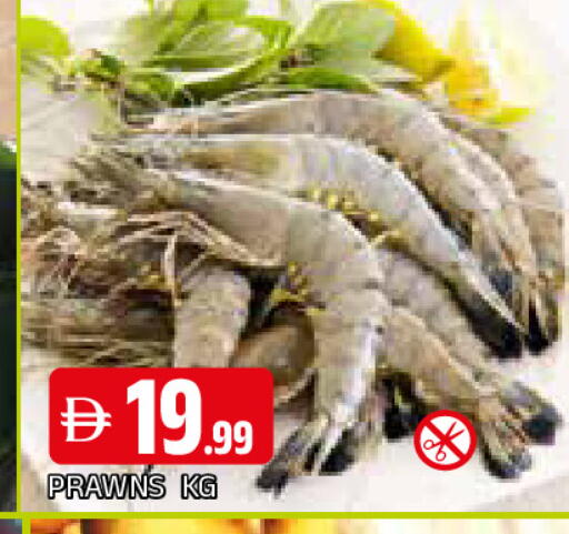 available at المدينة in الإمارات العربية المتحدة , الامارات - الشارقة / عجمان