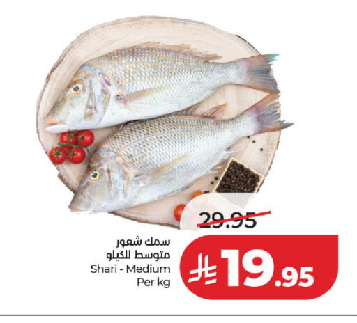 available at LULU Hypermarket in KSA, Saudi Arabia, Saudi - Tabuk