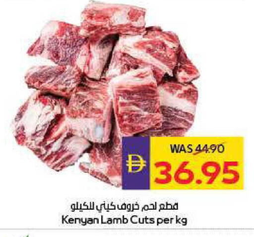 available at أدكووب in الإمارات العربية المتحدة , الامارات - ٱلْعَيْن‎