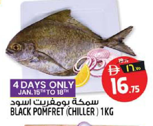 available at SAFARI HYPERMARKET  in UAE - Ras al Khaimah