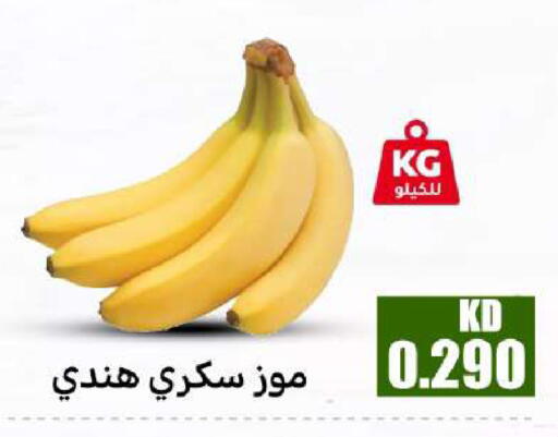 available at شركة سوق ميم المركزي  in الكويت - محافظة الأحمدي