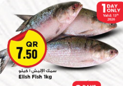 available at Marza Hypermarket in Qatar - Al-Shahaniya
