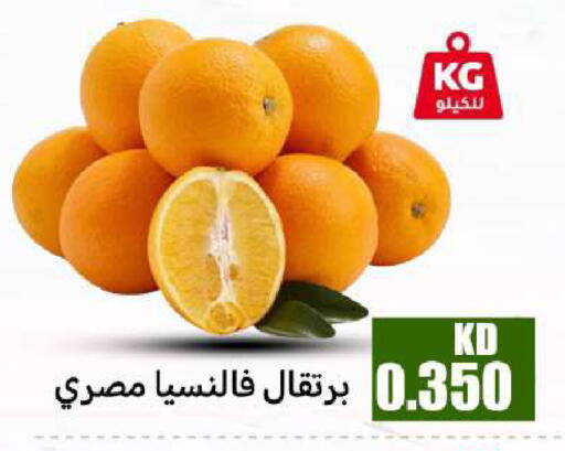 available at شركة سوق ميم المركزي  in الكويت - محافظة الأحمدي