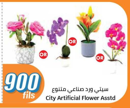 available at City Hypermarket in Kuwait - Jahra Governorate