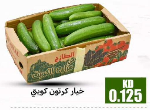 available at شركة سوق ميم المركزي  in الكويت - مدينة الكويت