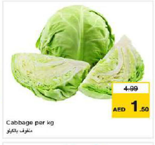 Cabbage available at Nesto Hypermarket in UAE - Dubai