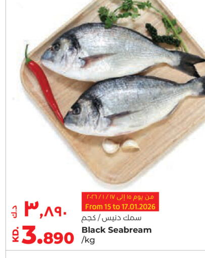 available at لولو هايبر ماركت in الكويت - محافظة الجهراء