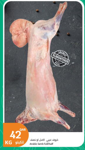 available at City Hypermarket in Qatar - Al Daayen