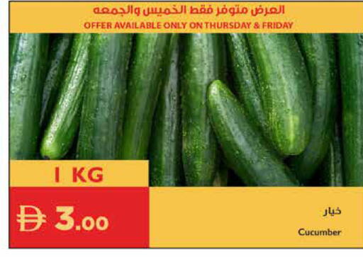 Cucumber available at Istanbul Supermarket in UAE - Al Ain